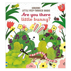 [Download Sách] Sách thiếu nhi tiếng Anh - Usborne Are you there little bunny?