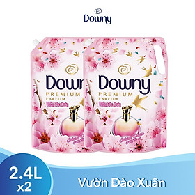 Combo 2 Túi Nước Xả Downy Vườn Đào Xuân 2.4L