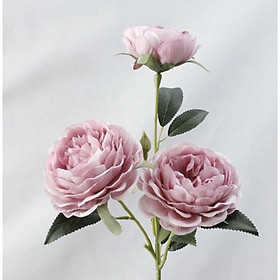 Mua Cành hoa mẫu đơn 3 bông lụa cao 52cm trang trí nhà cửa sang trọng  hoa lụa thiết kế