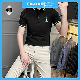 Áo Thun Nam Ngắn Tay Chandi, Chất Thun Cotton Xịn Co Giãn Mẫu Mới NT62