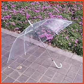 Mua Ô trong suốt-đủ màu Hàn Quốc che mưa  chụp ảnh