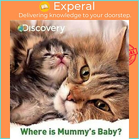 Hình ảnh Sách - Discovery Where is Mummy's Baby? by Parragon Books Ltd (paperback)