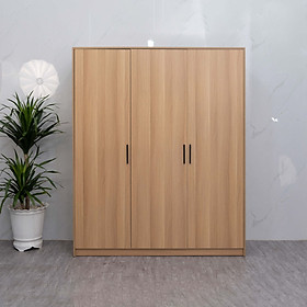 Tủ quần áo gỗ MDF Juno sofa 1m6 x 2m HLMCT05