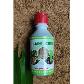 Siêu ra rễ chuyên dùng Giâm- Chiết cây (lọ 50ml) hạn chế thối rễ, vàng lá