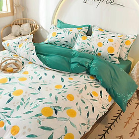 Bộ Chăn Ga Gối Cotton 3D m6/m8/2m-Tiệm Nhà MêuSet 4 Món Poly Siêu Đáng Yêu Bedding - Decor Hàn Quốc