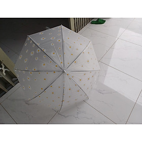 Mua Dù chấm bi người lớn dễ thương