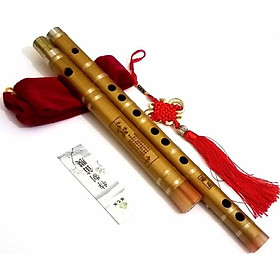 Mua Sáo dizi khớp inox cao cấp (màu vàng kim  tone đô  la  sol)