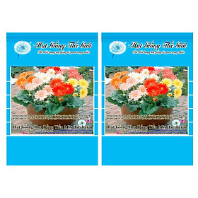 Bộ 2 Gói Hạt Giống Hoa Đồng Tiền - Mix (Gerbera) 10h
