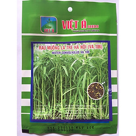 Combo 2 túi Hạt giống Rau muống lá tre