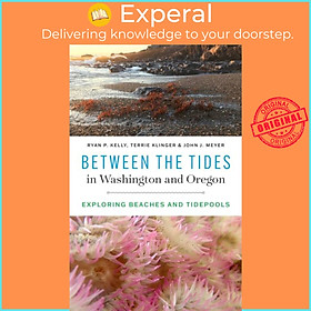 Sách - Between the Tides in Washington and Oregon - Exploring Beaches and Tidep by Ryan P. Kelly (UK edition, paperback)