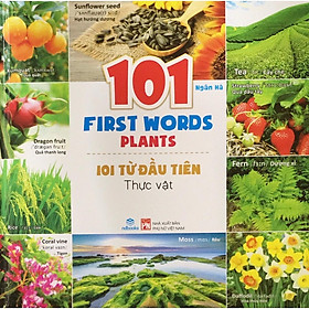 Sách - Trọn bộ 8 cuốn 101 First Words - 101 Từ đầu tiên - Song ngữ Anh - Việt - ndbooks
