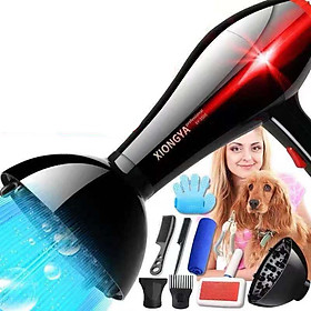 Máy sấy lông chó mèo công suất 9500W tặng kèm nhiều phụ kiện