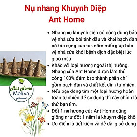 Mua Hũ 5 nụ nhang Palo santo - Xô Trắng - Hương thảo...Tặng Lư đốt DDT05 màu ngẫu nhiên
