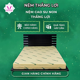 Mua NỆM CAO SU NON THẮNG LỢI SIZE 2M và 2 2M