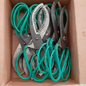 Mua KÉO KHOANH VỎ CÂY KÍCH RA HOA KẾT TRÁI