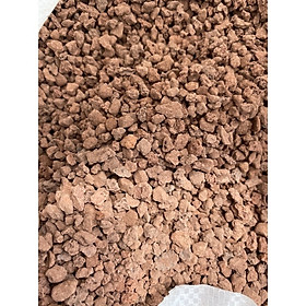 Mua ĐÁ LAVA ĐỎ TRỒNG SEN ĐÁ XƯƠNG RỒNG CÂY CẢNH TÚI 500G