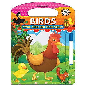 Write, Wipe And Write Again - Birds