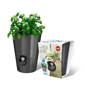 Chậu trồng cây cảnh tưới và thấm nước tự động thiết kế Đức EMSA (có phao nhắc thiếu nước) - màu đen
