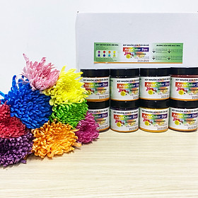Mua BỘT NHUỘM HOA TƯƠI CHUYÊN NGHIỆP GIÚP ĐỔI MÀU HOA CẮT CÀNH NHẬP KHẨU ẤN ĐỘ (HỦ 110GR pha 12L nước nhuộm hoa tươi)
