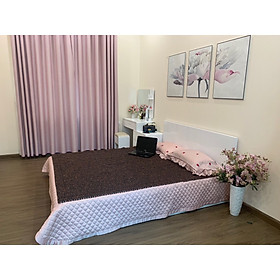 Mua Chiếu hạt gỗ Trắc Mộc hạt 1 2cm   Chiếu điều hoà - Tặng lót ghế ô tô hạt gỗ Trắc ( hình thật )