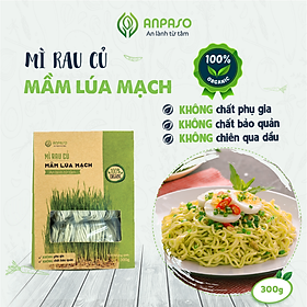 Mì Rau Củ Vị Mầm Lúa Mạch Organic Anpaso