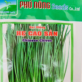 Mua Hạt giống hẹ