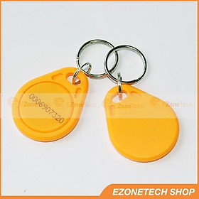 Mua Thẻ Từ RFID Tần Số 125Khz Dạng Móc Khóa Chip EM4100 ( Proxy Key Fob)