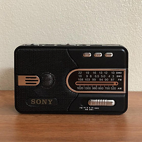 Mua Đài Radio SW-313