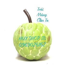 Mua 1 Trái Mãng Cầu Ta  Trái NA nhân tạo - Trái Cây Giả