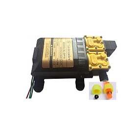 Máy bơm nước đôi mini 12v phun sương, rửa xe áp lực cao tự ngắt