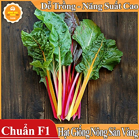 Hạt giống Cải Cầu Vòng ( Gói 5 Gram ) - Nông Sản Vàng