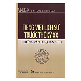 Sách - Tiếng Việt Lịch Sử Trước Thế Kỷ XX - Những Vấn Đề Quan Yếu - Đinh Văn Đức - VIETNAMBOOK