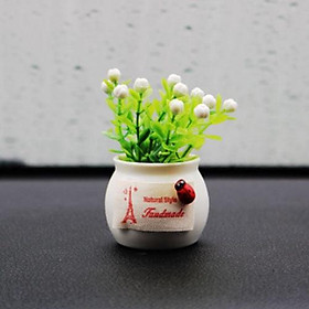 Chậu cây mini trang trí taplo ô tô, xe hơi, bàn làm việc