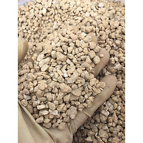 Mua ĐÁ MASATO   MAIFAN  TÚI 500G/17K TRỒNG SEN ĐÁ XƯƠNG RỒNG