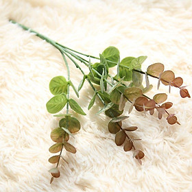 Mua Loại 1-Hoa giả-Bó lá cây khuynh diệp loại 1 - 1 bó 5 nhánh dài 27cm-lá táo cắm điểm-trang trí nội thất  sự kiện