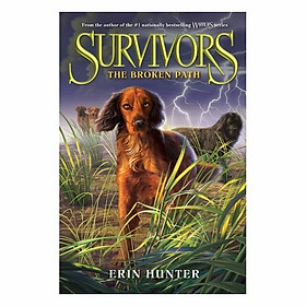 Broken Path: Survivors #4