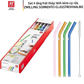 Mua SET ỐNG HÚT THUỶ TINH MÀU SẮC 4 CÁI KÈM CHỔI ZWILLING 23CM Hàng chính hãng