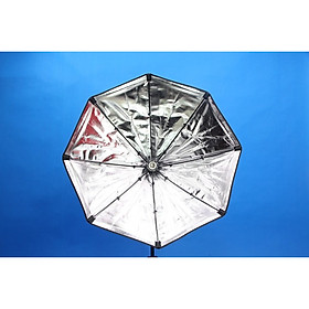 Mua Softbox bát giác 75cm kèm đui E27