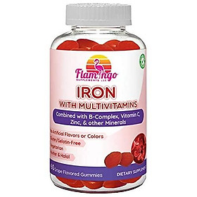 Iron Gummies Plus Multivitamin- Vitamin C, Zinc, B Complex, and Biotin for Fatigue, Anemia, Pregnancy. Good for Vegans and Vegetarians, Women, Kids, and Men. Grape Flavor. 60 Count