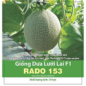 Mua Hạt Giống Dưa Lưới Lai F1