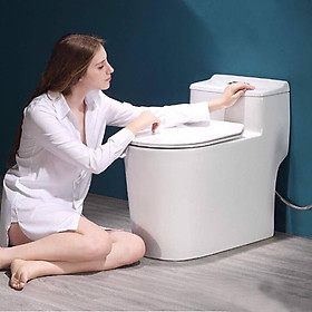 Mua Bồn cầu một khối  Bệt vệ sinh liền khối R65