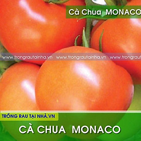 Hạt Giống Cà Chua Monaco Chịu Nhiệt - gói 5g