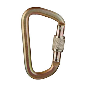 40KN D Carabiner Screw Locking for Rock Climbing Moutaineering