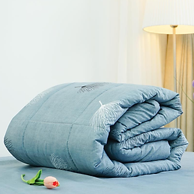 Mua Chăn hè Microfiber Xám Đậm Everon Lite ELM204 200 x 220cm