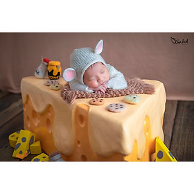 Chụp ảnh cho bé sơ sinh tại Sankid Studio - Gói chuột vàng