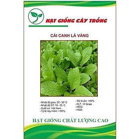 Hạt giống rau cải canh lá vàng - 1 gói 10gram