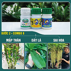 BƯỚC 2 COMBO8 100 - Phân bón giúp cây trưởng thành, ra hoa tự nhiên, dưỡng hoa, dưỡng cây (100g(ml)/chai)