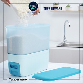 Thùng Gạo Rice Dispenser 10kg Chất Nhựa Cao Cấp Thiết Kế Nhỏ Gọn Phù Hợp Không Gian Bếp