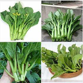 Hạt Giống Rau Cải Ngọt Ăn Bông  - 1kg/gói