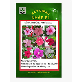 Mua 1000 HẠT GIỐNG HOA DỪA CẠN ĐỨNG NHIỀU MÀU